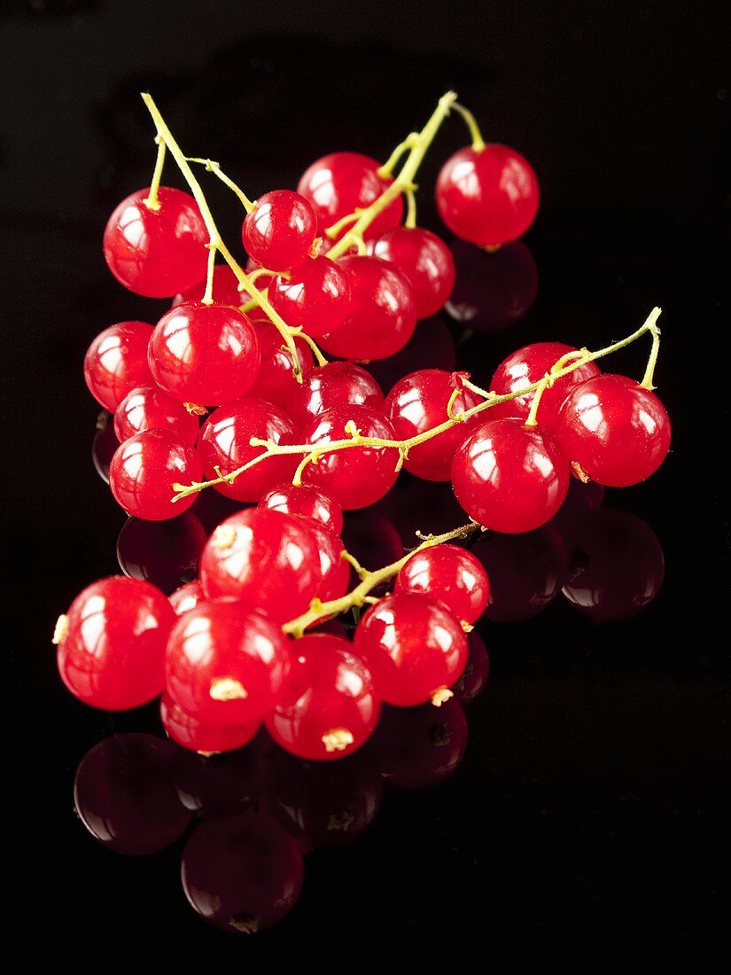 Redcurrants on red background