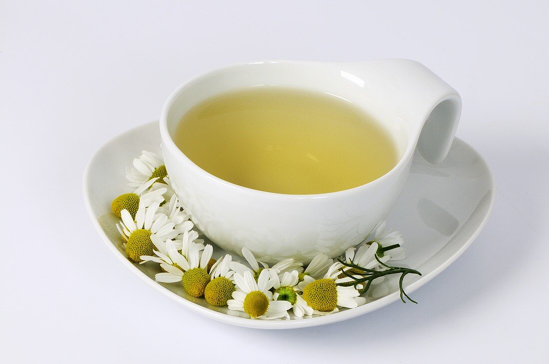 Cup of chamomile tea with fresh flowers