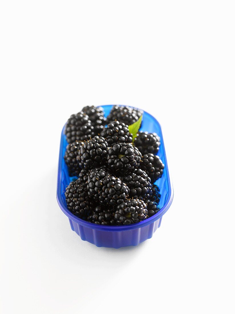 Frische Brombeeren in blauer Plastikschale