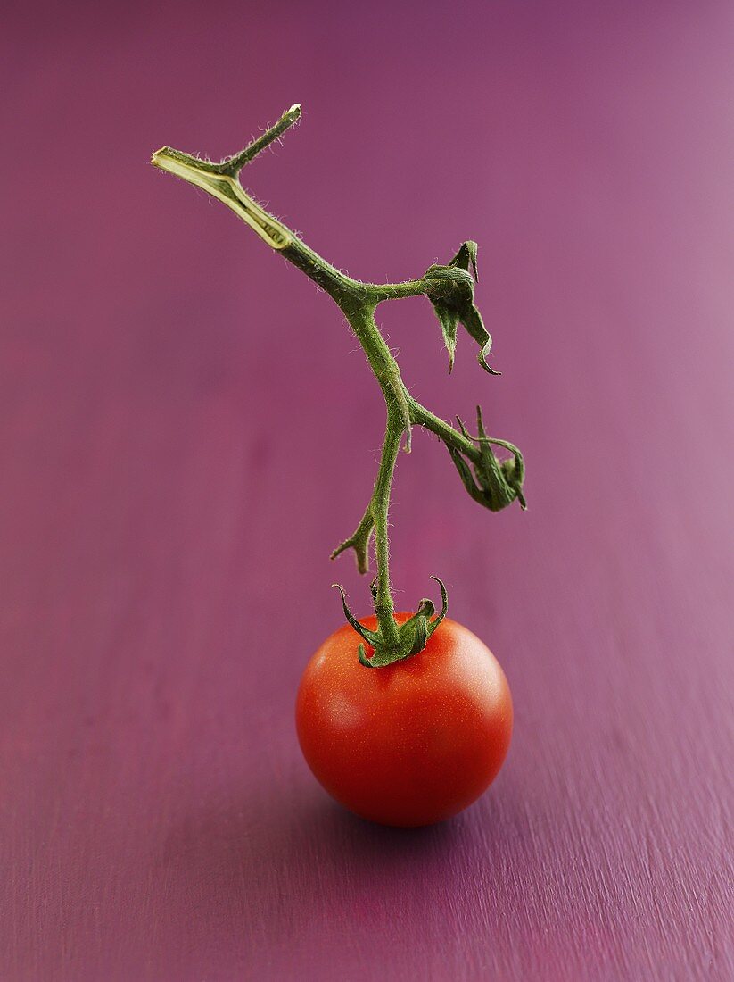 Cherry tomato with stalk