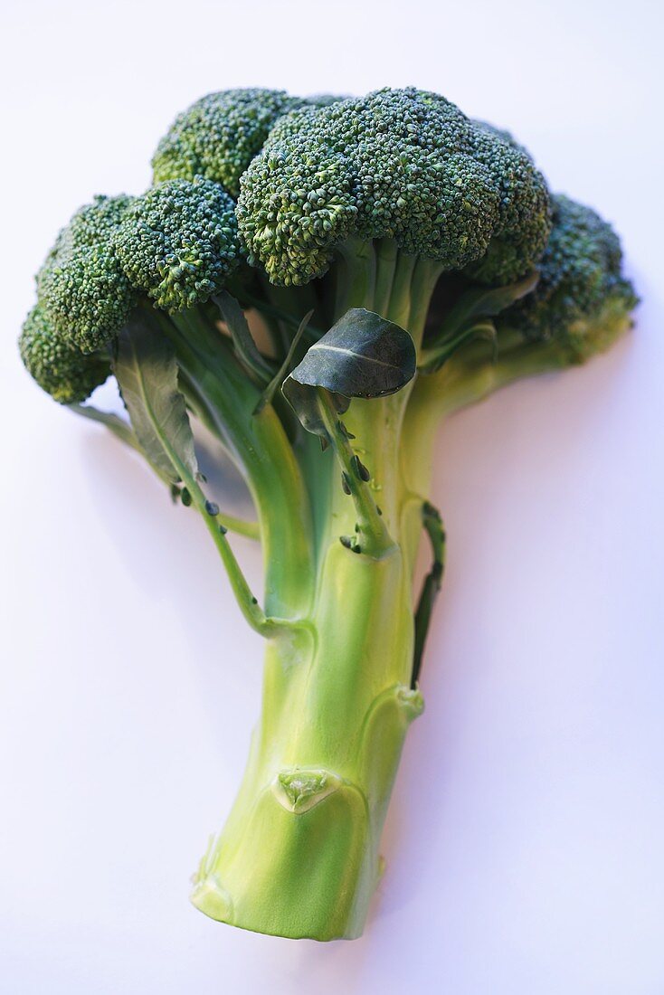 Fresh broccoli