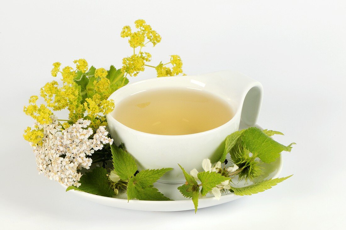 Medicinal tea with yarrow, dead-nettle and lady's mantle