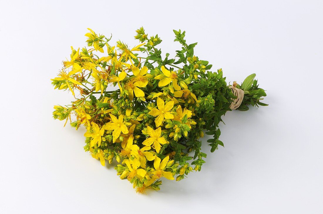 St. John's wort with flowers