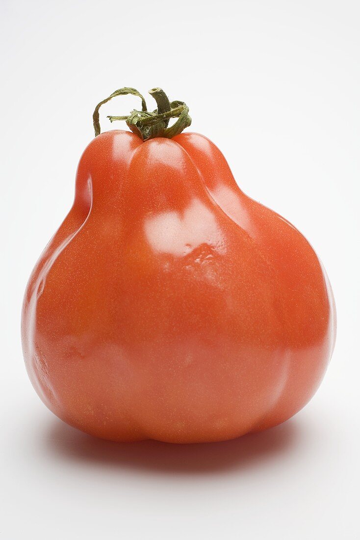 Eine Tomate