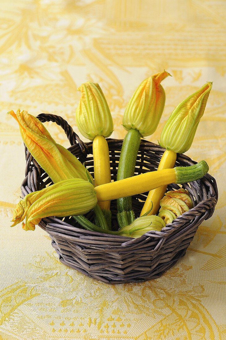 Zucchini mit Blüten im Korb