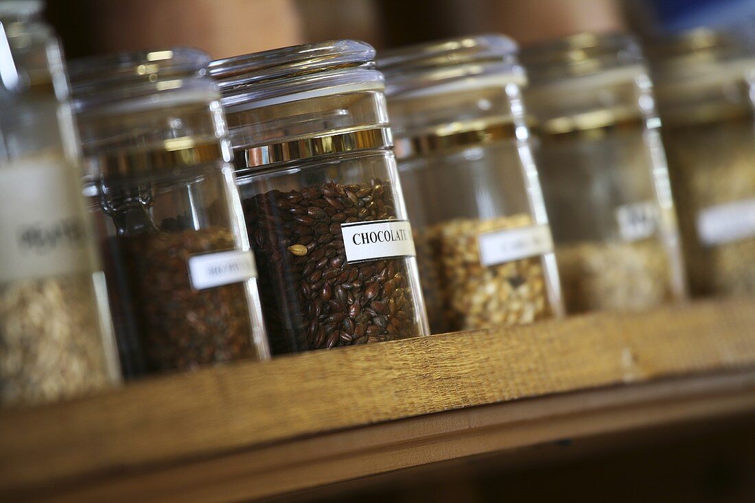 Various types of barley malt in jars