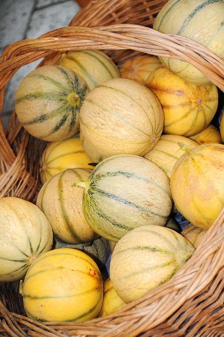Several muskmelons in a basket