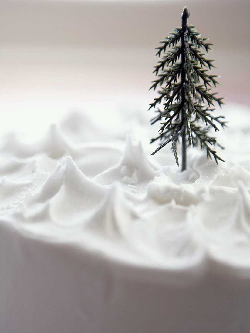 'Schnee-Torte' mit kleinem Tannenbaum