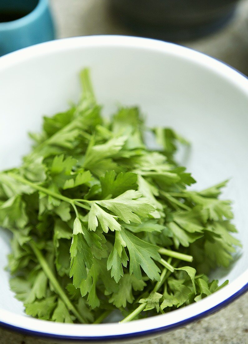 Flat-leaf parsley in a bowl