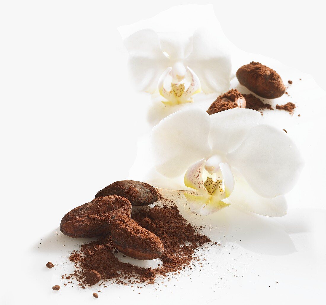 Kakaobohnen, Kakaopulver und weiße Orchideen