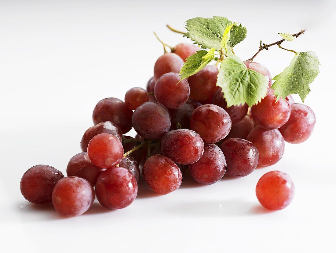 Red grapes with vine leaves