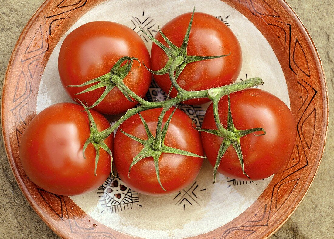 Fünf Tomaten mit Rispe auf einem Teller
