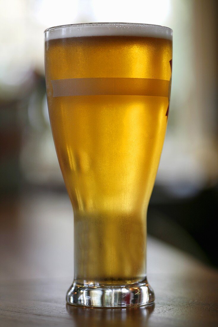 Ein Glas Lager Bier