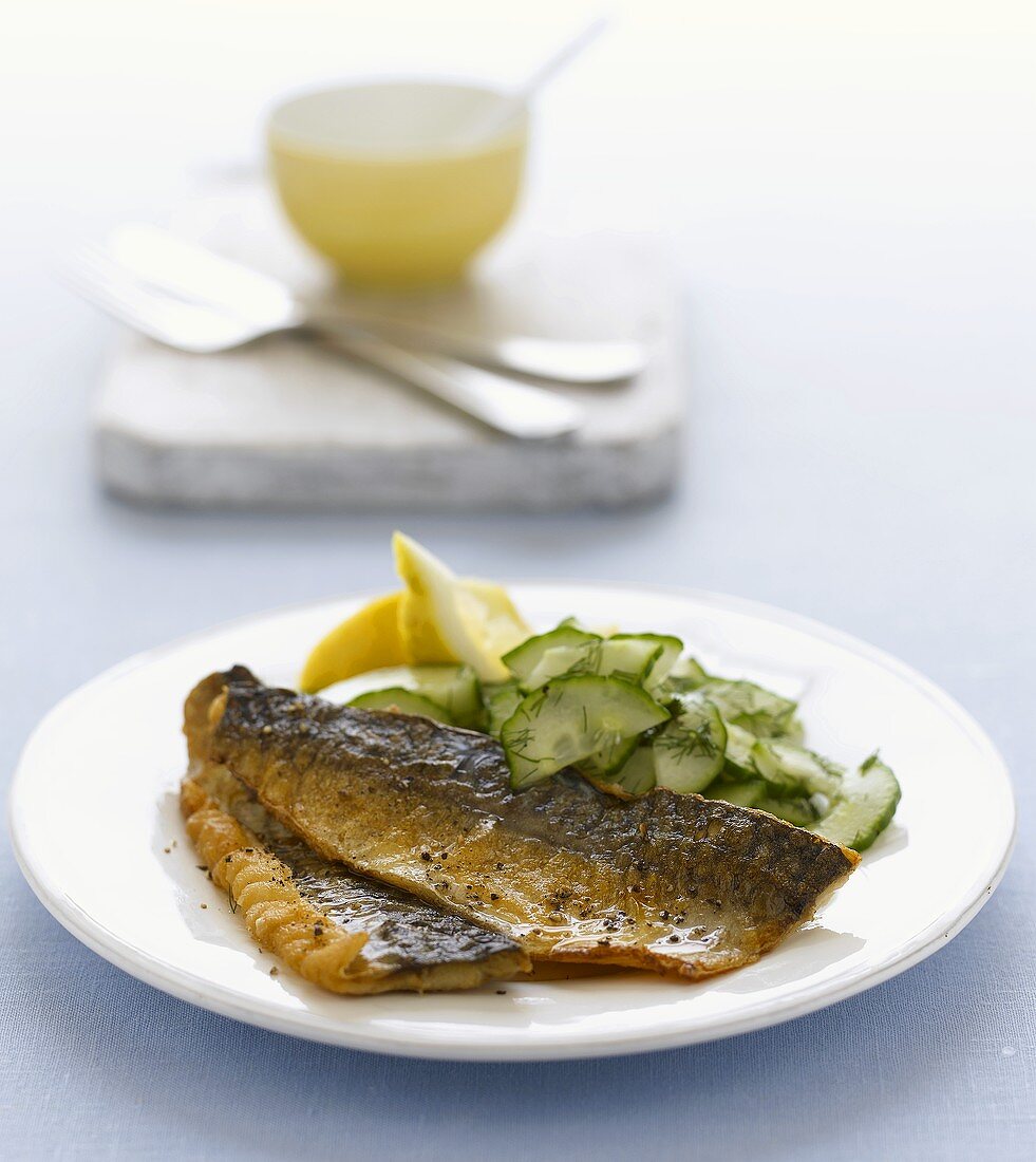 Mackerel fillets with cucumber salad