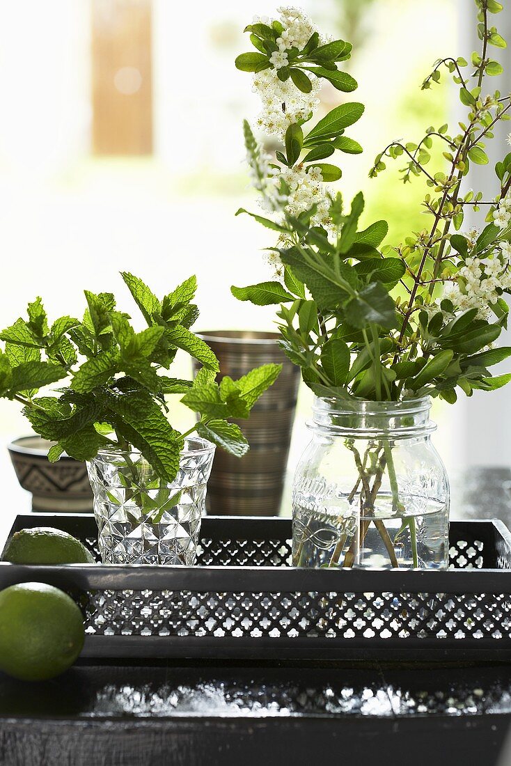 Bunches of herbs on a tray with limes