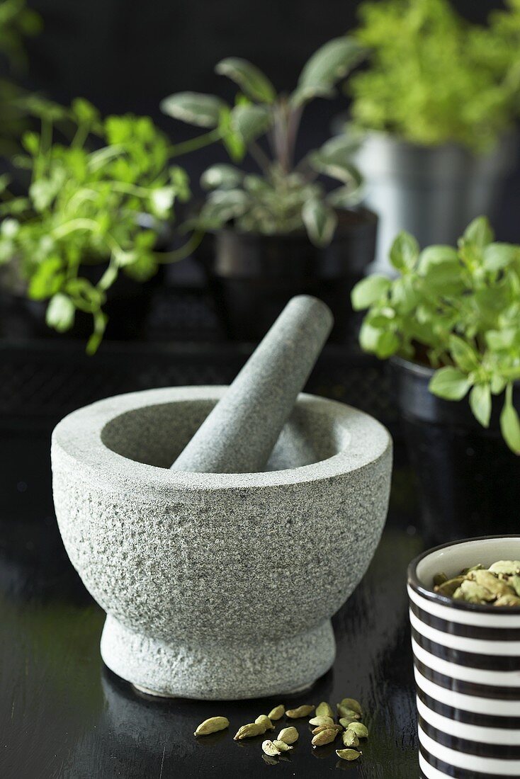 Stone mortar and pestle with fresh herbs