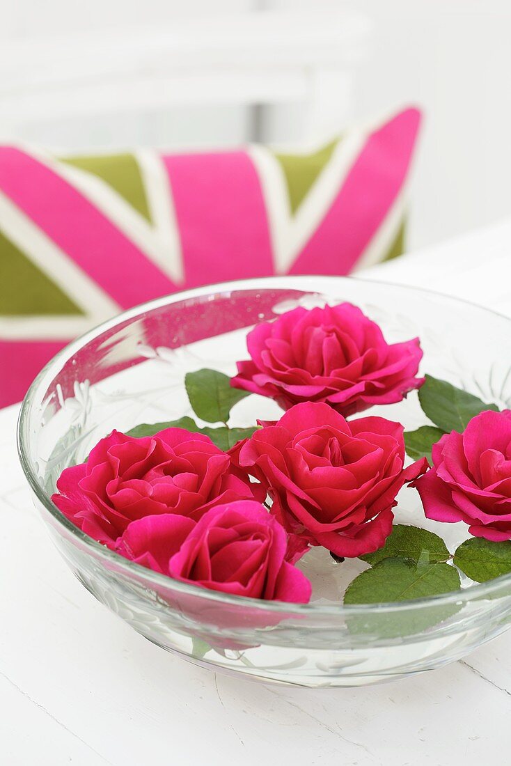 Pinkfarbenene Rosenblüten schwimmen in Schüssel mit Wasser