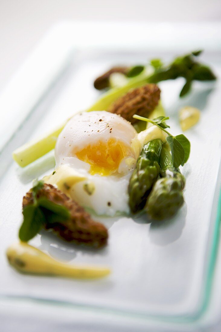 Green asparagus with poached duck egg, morels, hollandaise sauce