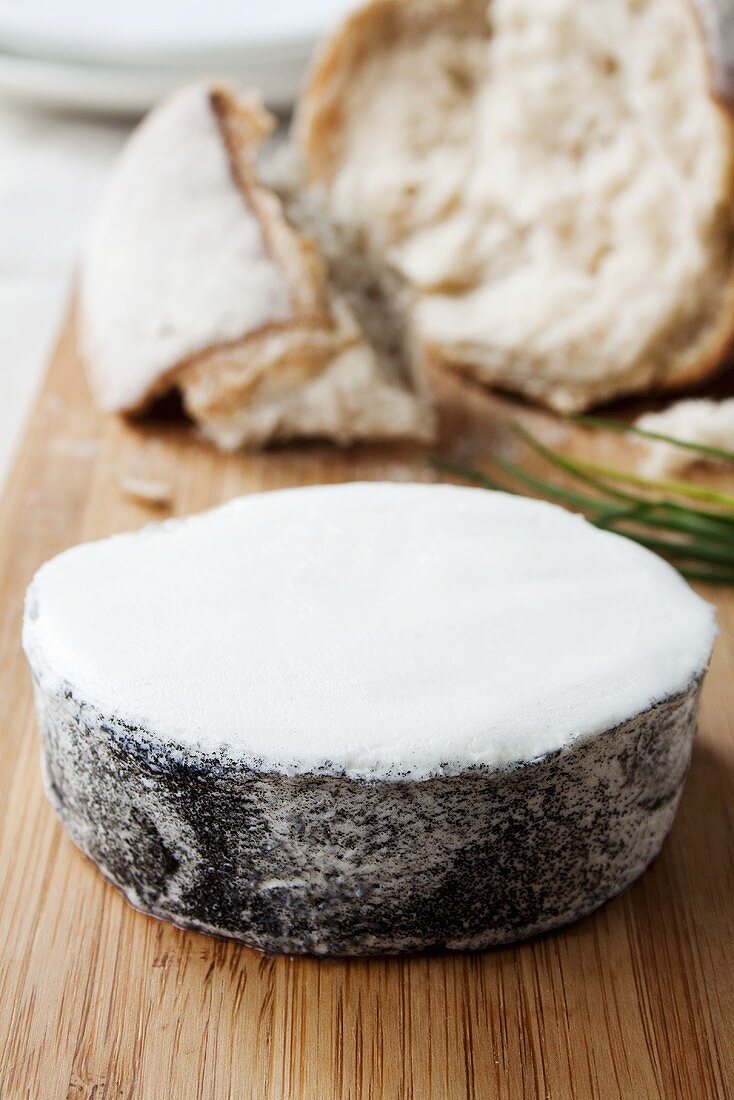 Goat's cheese with ash