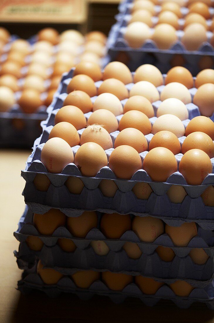 Eggs in egg trays