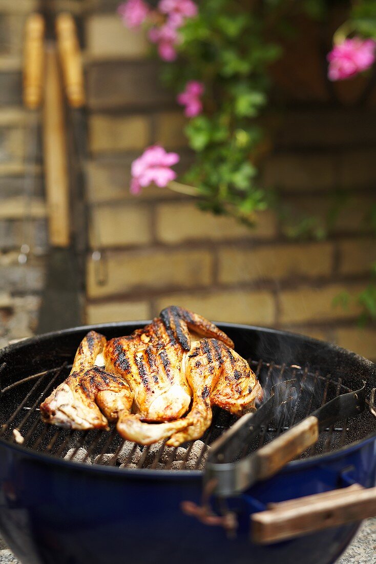 Chicken on a barbecue