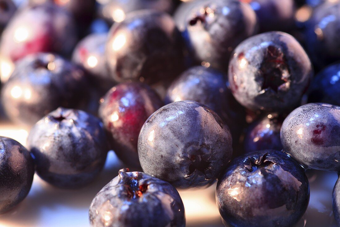 Heidelbeeren (Nahaufnahme)