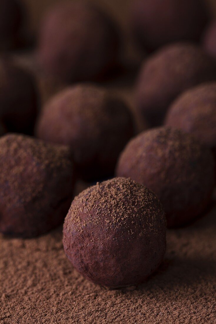Chocolate truffles rolled in cocoa powder