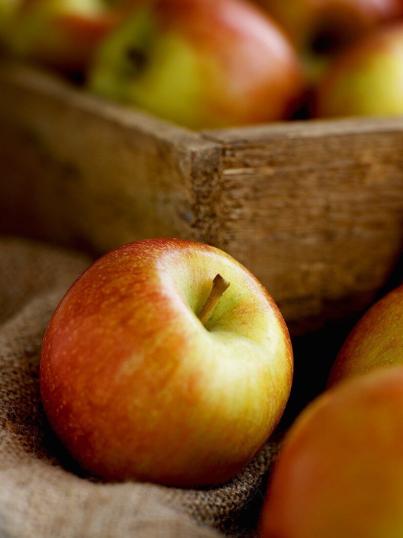 Red apples in and in front of crate (close-up)