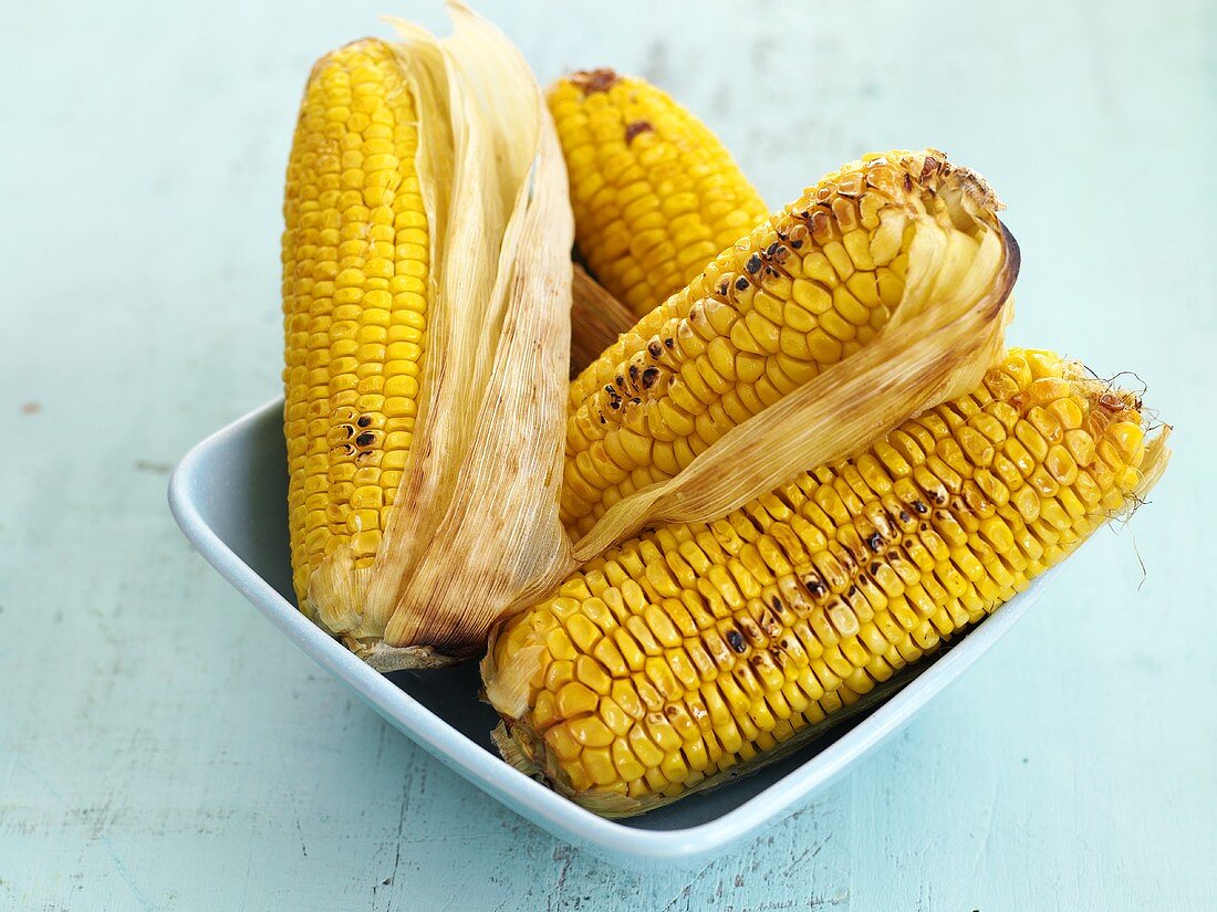 Grilled corn on the cob