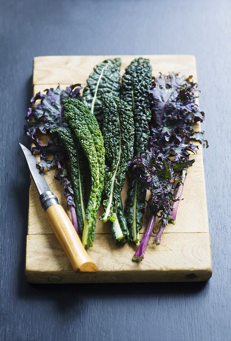 Leaves of various types of kale on wooden board with knife