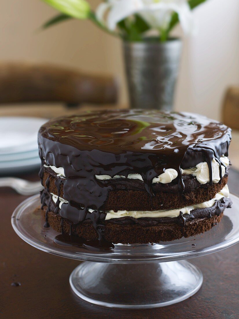 Chocolate cake with whipped cream filling on cake stand