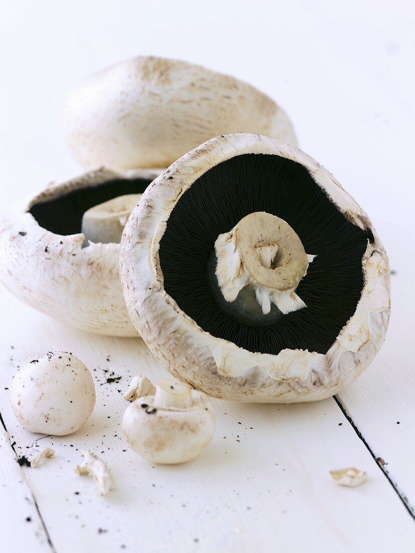 Portobello-Pilze auf Holzuntergrund