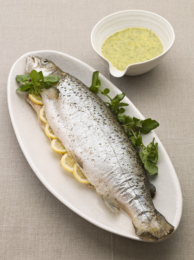 Salmon trout with lemon slices and herb sauce