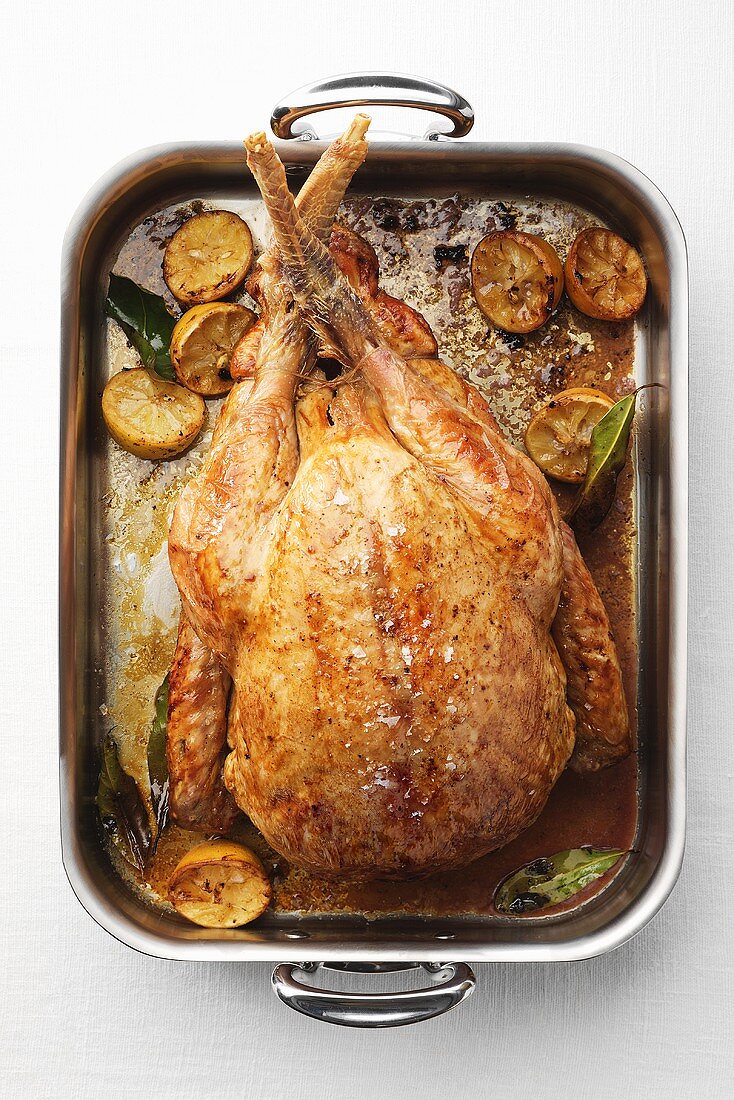 Roast turkey with lemon in roasting tin (overhead view)