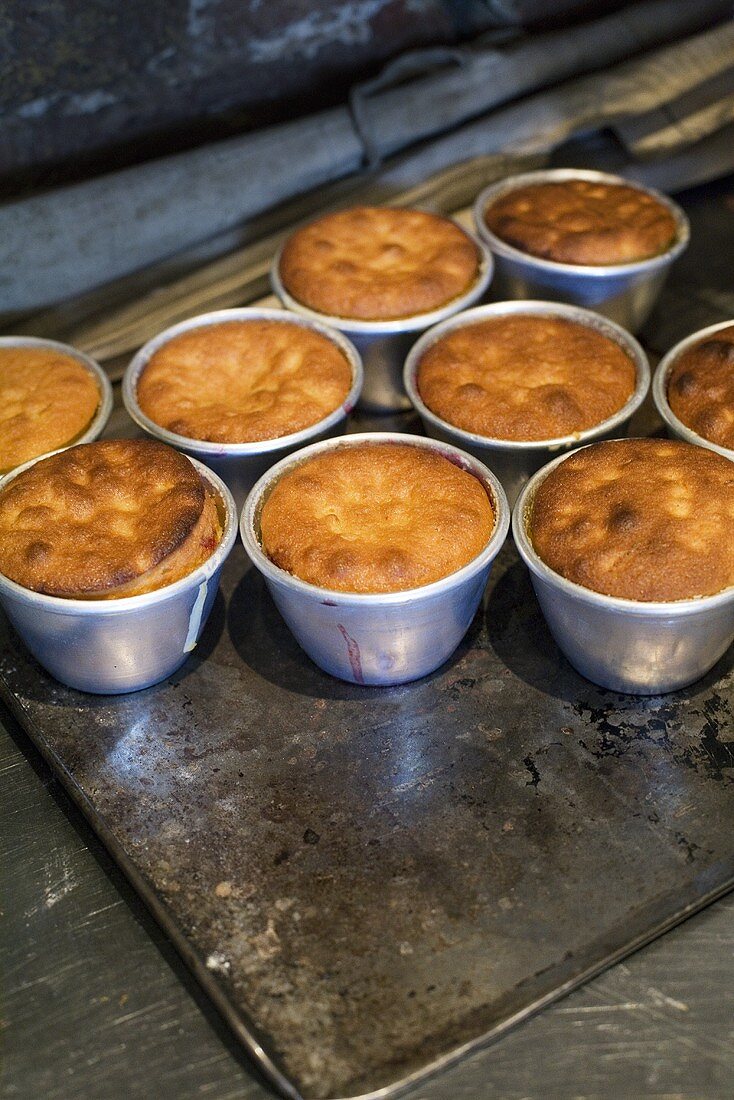 Several sponge puddings in pudding basins