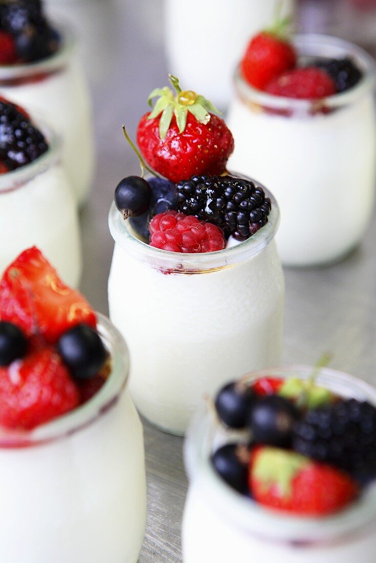 Joghurt mit frischen Beeren