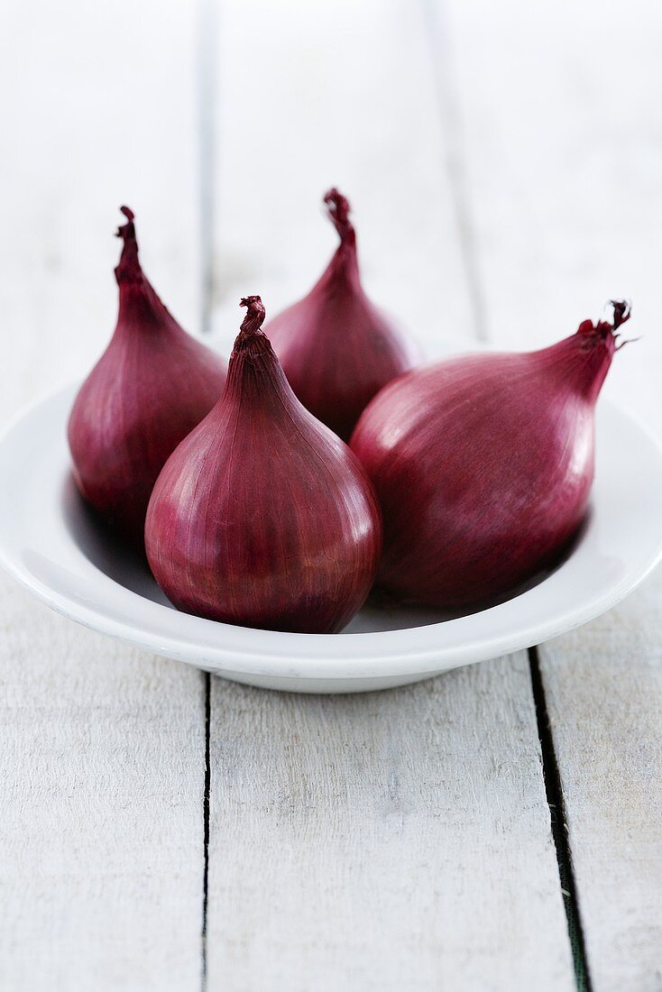 Red onions in dish