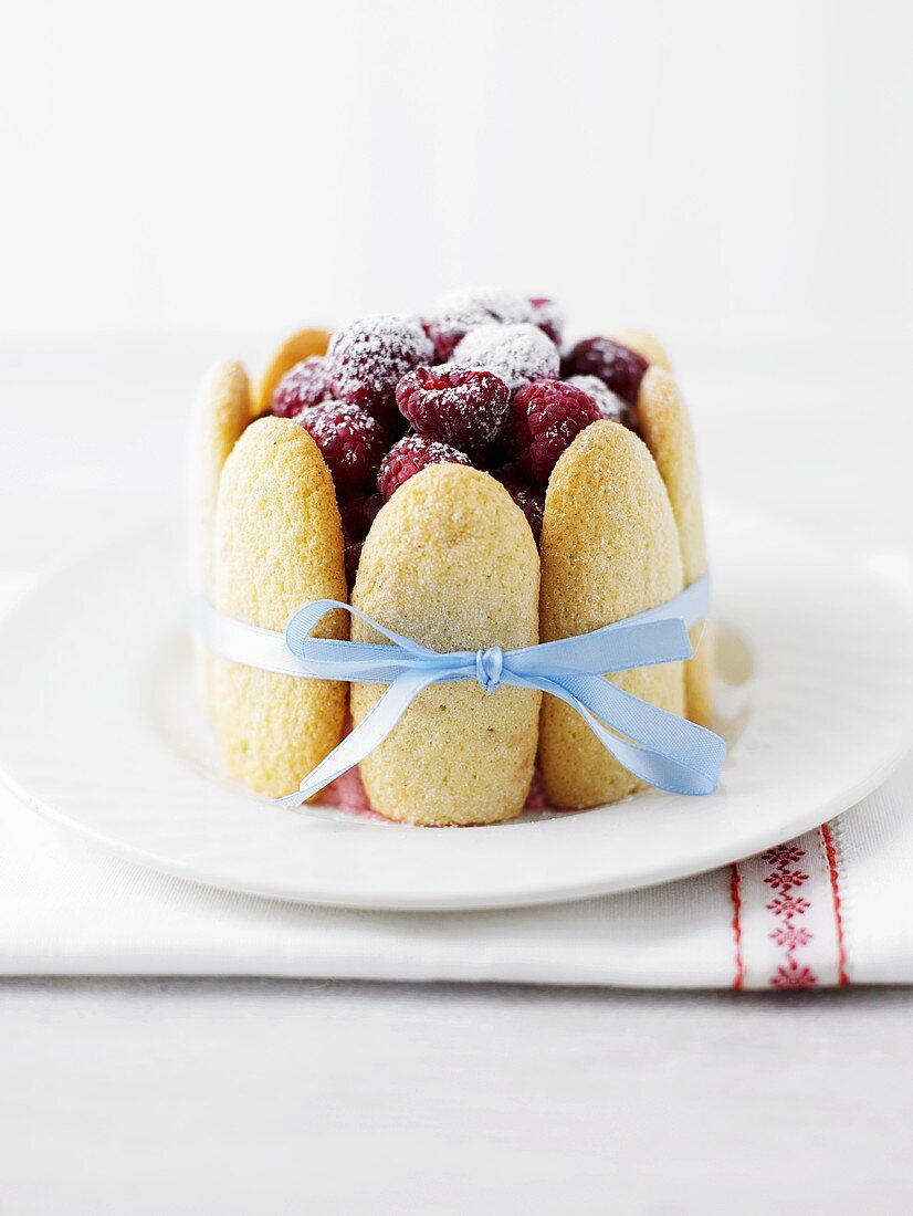 Raspberry charlotte with icing sugar