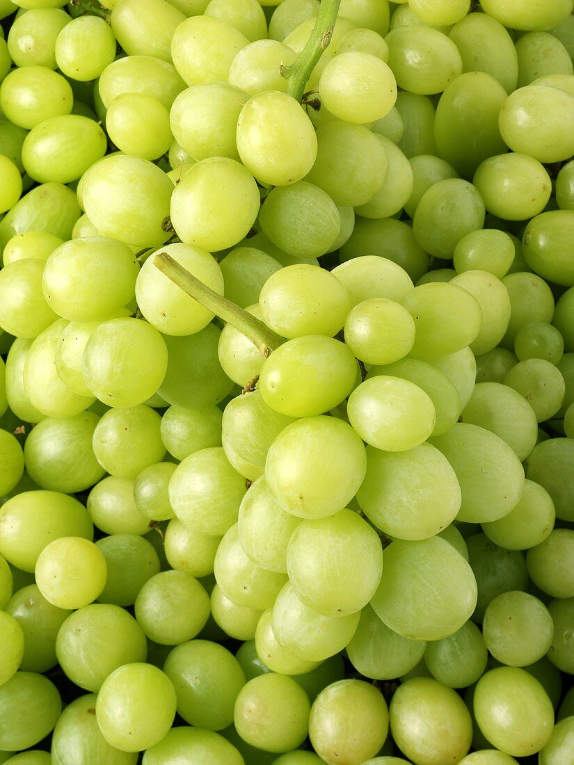 Green grapes (close up)