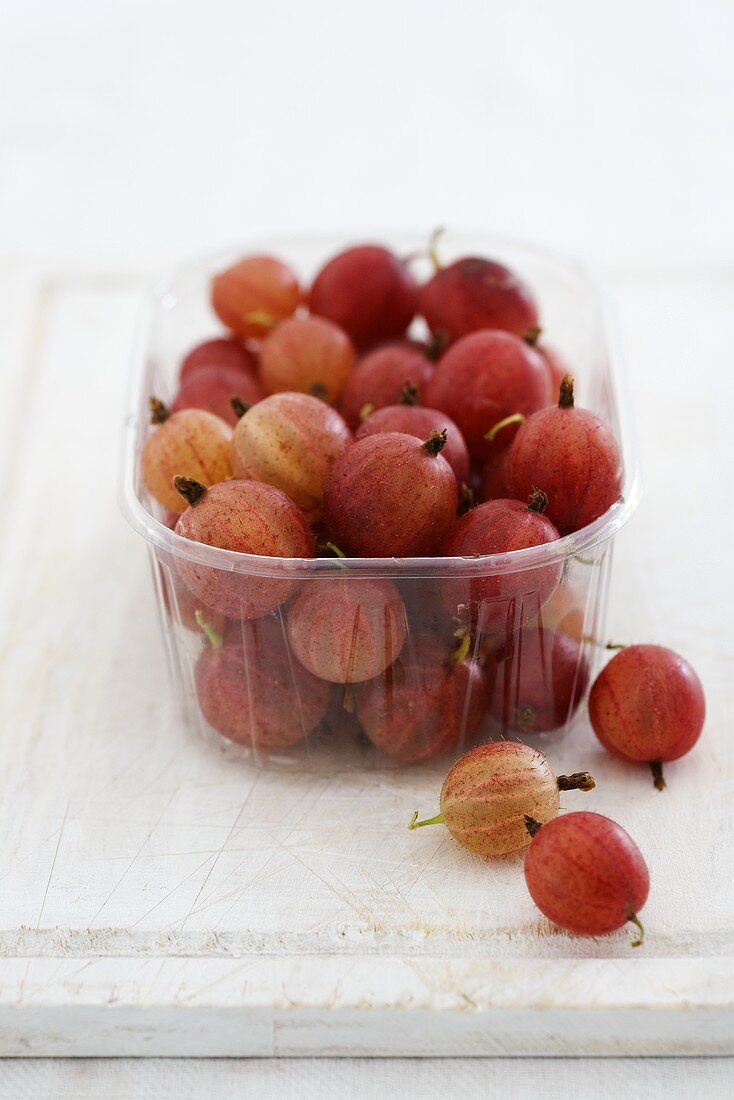 Rote Stachelbeeren in Plastikschale