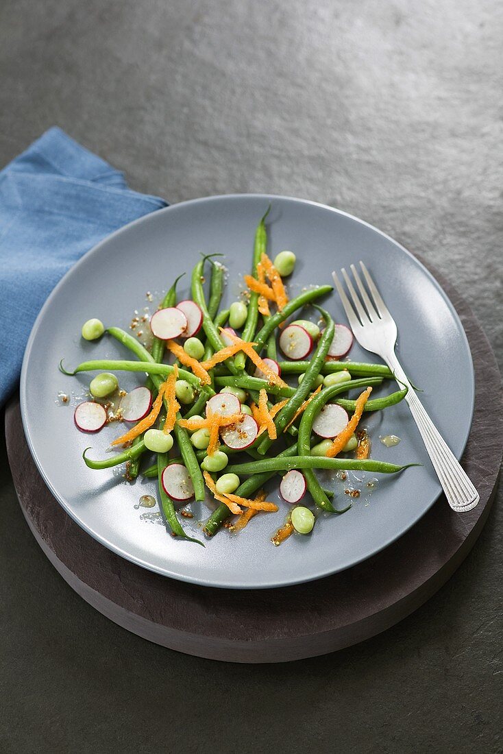 Bohnensalat mit Möhren und Radieschen