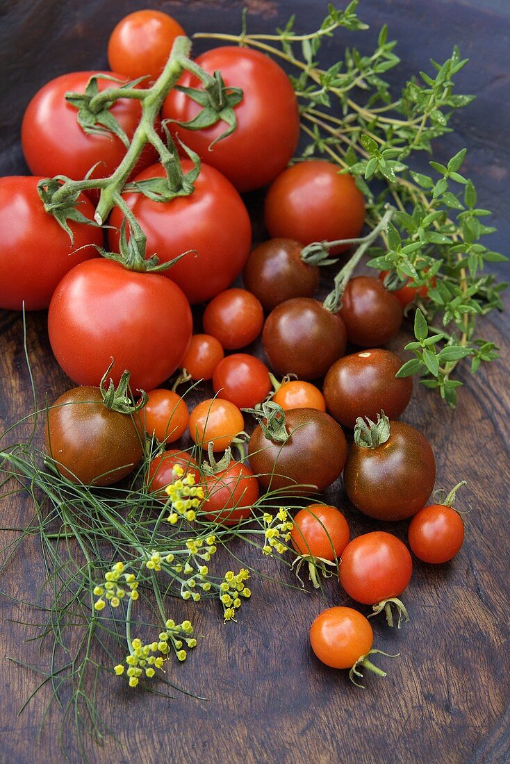 Verschiedene Tomaten und Kräuter