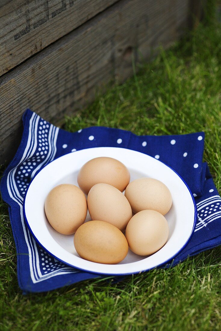 Braune Eier auf Teller im Gras