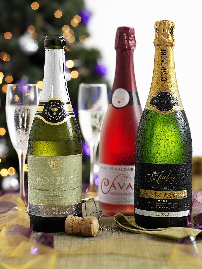 Various types of sparkling wine with labels (Prossecco, Cava, Champagne)