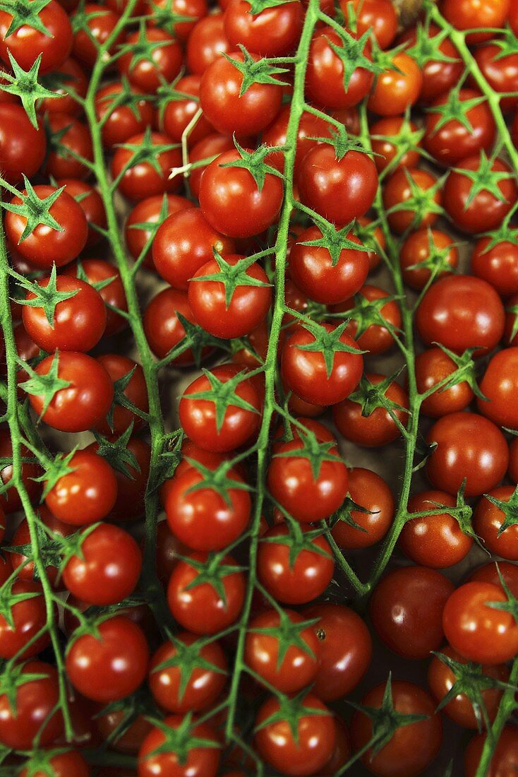 Cherry tomatoes, macro zoom