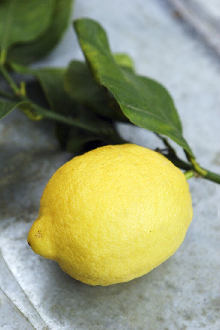 A lemon with leaves