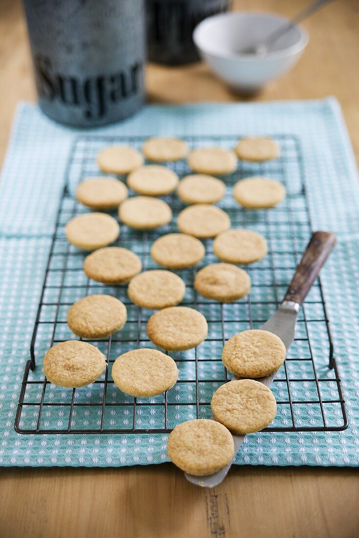 Plätzchen auf Abtropfgitter