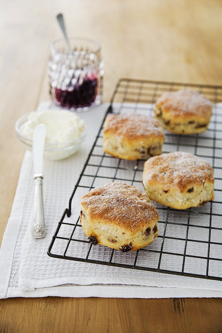 Scones mit Rosinen auf Kuchengitter