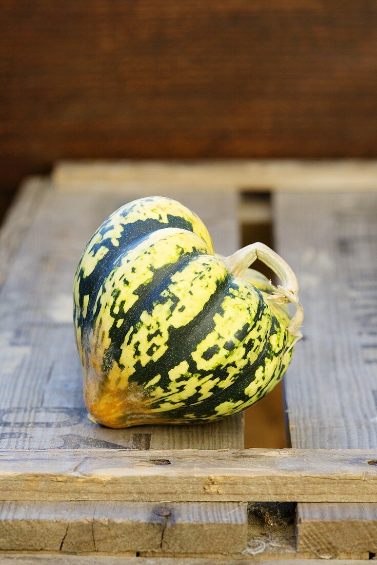 Green and yellow Harlequin squash