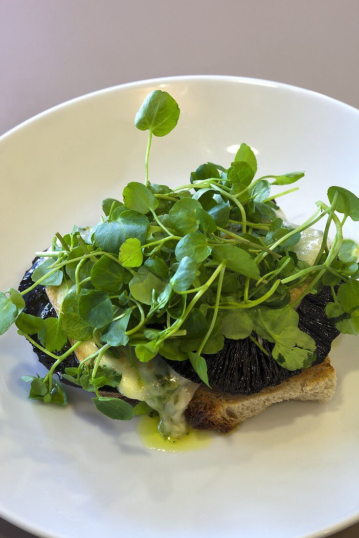 Toast with mushrooms, cheese and cress